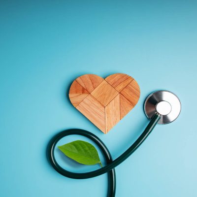 Health Care, Harmony and Organic Healthy Lifestyle Concept. Living and Close to Nature. Wooden Jigsaw as Heart Shape with Stethoscope and Leaf. Look like Flower Plant. Growth of Love and Relationship